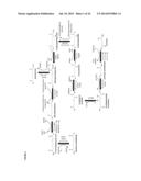 Methods Of Producing 7-Carbon Chemicals Via Pyruvate And Succinate     Semialdehyde Aldol Condensation diagram and image