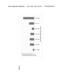 Methods Of Producing 7-Carbon Chemicals Via Pyruvate And Succinate     Semialdehyde Aldol Condensation diagram and image