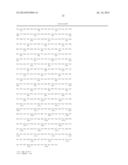 Methods Of Producing 7-Carbon Chemicals Via Pyruvate And Succinate     Semialdehyde Aldol Condensation diagram and image