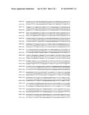 THERMUS BROCKIANUS NUCLEIC ACID POLYMERASES diagram and image