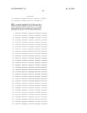 THERMUS BROCKIANUS NUCLEIC ACID POLYMERASES diagram and image