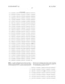 THERMUS BROCKIANUS NUCLEIC ACID POLYMERASES diagram and image