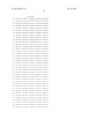 THERMUS BROCKIANUS NUCLEIC ACID POLYMERASES diagram and image