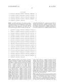 THERMUS BROCKIANUS NUCLEIC ACID POLYMERASES diagram and image