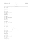 THERMUS BROCKIANUS NUCLEIC ACID POLYMERASES diagram and image