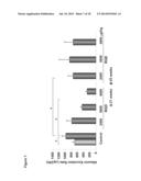 Vault Agents for Treating Chronic Kidney Disease diagram and image