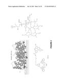 CYCLIC LACTADHERIN PEPTIDE MIMETICS AND THEIR USES diagram and image