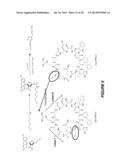 CYCLIC LACTADHERIN PEPTIDE MIMETICS AND THEIR USES diagram and image