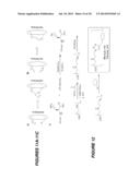 CYCLIC LACTADHERIN PEPTIDE MIMETICS AND THEIR USES diagram and image