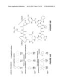 CYCLIC LACTADHERIN PEPTIDE MIMETICS AND THEIR USES diagram and image