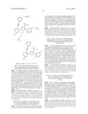 ALKYNYL SUBSTITUTED PYRIMIDINYL-PYRROLES ACTIVE AS KINASES INHIBITORS diagram and image