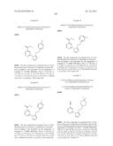 HISTONE DEMETHYLASE INHIBITORS diagram and image