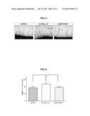 COMPOSITION FOR EYELASH GROWTH diagram and image