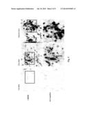 HYDROXYBUTYRATE ESTER AND MEDICAL USE THEREOF diagram and image