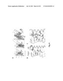 Method and Composition for Crystallizing G Protein-Coupled Receptors diagram and image