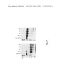 Method and Composition for Crystallizing G Protein-Coupled Receptors diagram and image