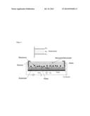 New Class Of Tunable Gas Storage And Sensor Materials diagram and image