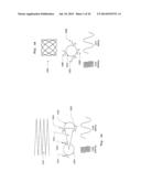 Scanned Laser Vein Contrast Enhancer Using One Laser for a Detection Mode     and a Display Mode diagram and image