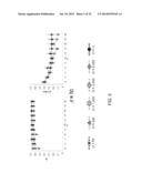 SYSTEMS AND METHODS FOR IDENTIFYING THE RELATIONSHIPS BETWEEN A PLURALITY     OF GENES diagram and image