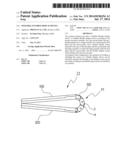 FOLDABLE FLEXIBLE DISPLAY DEVICE diagram and image