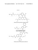 FLUORESCENT TAGS FOR DETECTION OF SWELLABLE POLYMERS diagram and image