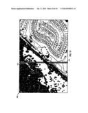 System for Detecting Image Abnormalities diagram and image