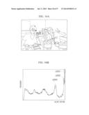 IMAGE PROCESSING APPARATUS, PROGRAM, IMAGE PROCESSING METHOD, AND IMAGING     APPARATUS diagram and image