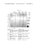 IMAGE PROCESSING APPARATUS, PROGRAM, IMAGE PROCESSING METHOD, AND IMAGING     APPARATUS diagram and image