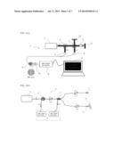 Balanced-Detection Spectra Domain Optical Coherence Tomography System diagram and image