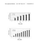 AAV MEDIATED EXENDIN-4 GENE TRANSFER TO SALIVARY GLANDS TO PROTECT     SUBJECTS FROM DIABETES OR OBESITY diagram and image