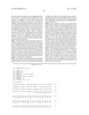 AAV MEDIATED EXENDIN-4 GENE TRANSFER TO SALIVARY GLANDS TO PROTECT     SUBJECTS FROM DIABETES OR OBESITY diagram and image