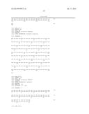 AAV MEDIATED EXENDIN-4 GENE TRANSFER TO SALIVARY GLANDS TO PROTECT     SUBJECTS FROM DIABETES OR OBESITY diagram and image