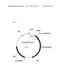 Process for the Production of Fine Chemicals diagram and image