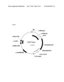 Process for the Production of Fine Chemicals diagram and image