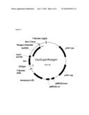 Process for the Production of Fine Chemicals diagram and image