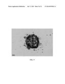 Facile Route to the Synthesis of Resorcinarene Nanocapsules diagram and image