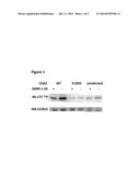 CELL-BASED METHODS FOR MEASURING ACTIVITY OF A PROTEIN INHIBITOR diagram and image