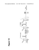 METHODS FOR MEASURING THE METABOLISM OF NEURALLY DERIVED BIOMOLECULES IN     VIVO diagram and image