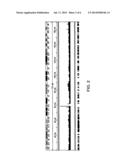 Methods of Amplifying Whole Genome of a Single Cell diagram and image
