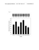 USE OF URARIA IN PROMOTING OSTEOGENESIS OR PROVIDING NEUROPROTECTION diagram and image