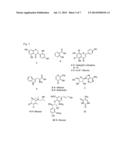 USE OF URARIA IN PROMOTING OSTEOGENESIS OR PROVIDING NEUROPROTECTION diagram and image