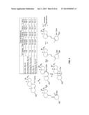 Enzymatic Production or Chemical Synthesis and Uses for 5,7-Dienes and UVB     Conversion Products Thereof diagram and image