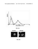 Enzymatic Production or Chemical Synthesis and Uses for 5,7-Dienes and UVB     Conversion Products Thereof diagram and image