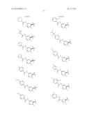 2-SPIRO-SUBSTITUTED IMINOTHIAZINES AND THEIR MONO-AND DIOXIDES AS BACE     INHIBITORS, COMPOSITIONS AND THEIR USE diagram and image