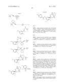 2-SPIRO-SUBSTITUTED IMINOTHIAZINES AND THEIR MONO-AND DIOXIDES AS BACE     INHIBITORS, COMPOSITIONS AND THEIR USE diagram and image