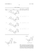 2-SPIRO-SUBSTITUTED IMINOTHIAZINES AND THEIR MONO-AND DIOXIDES AS BACE     INHIBITORS, COMPOSITIONS AND THEIR USE diagram and image