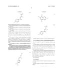 PRODRUGS FOR TREATING MICROBIAL INFECTIONS diagram and image