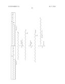 PEGYLATED LIPIDS AND THEIR USE FOR DRUG DELIVERY diagram and image