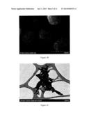 CATALYTIC BIOMASS CONVERSION diagram and image