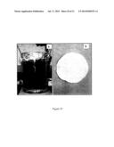 CATALYTIC BIOMASS CONVERSION diagram and image